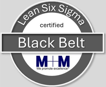 Lean Six Sigma Black Belt